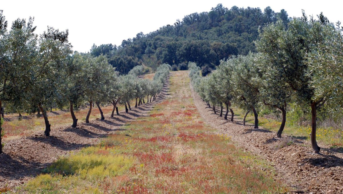 139842702_f0528023c890430e35a206ea0d9bb050