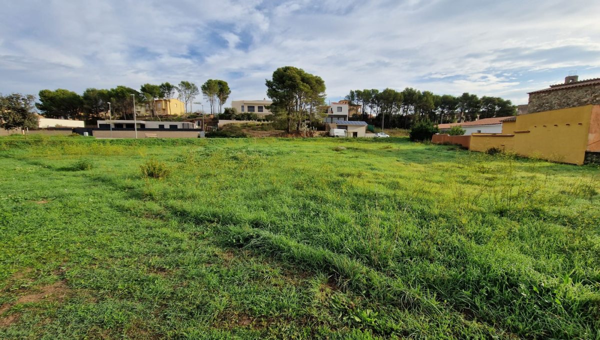 150682770_e65c1c0f3b9ba578273d74b0f44aa966