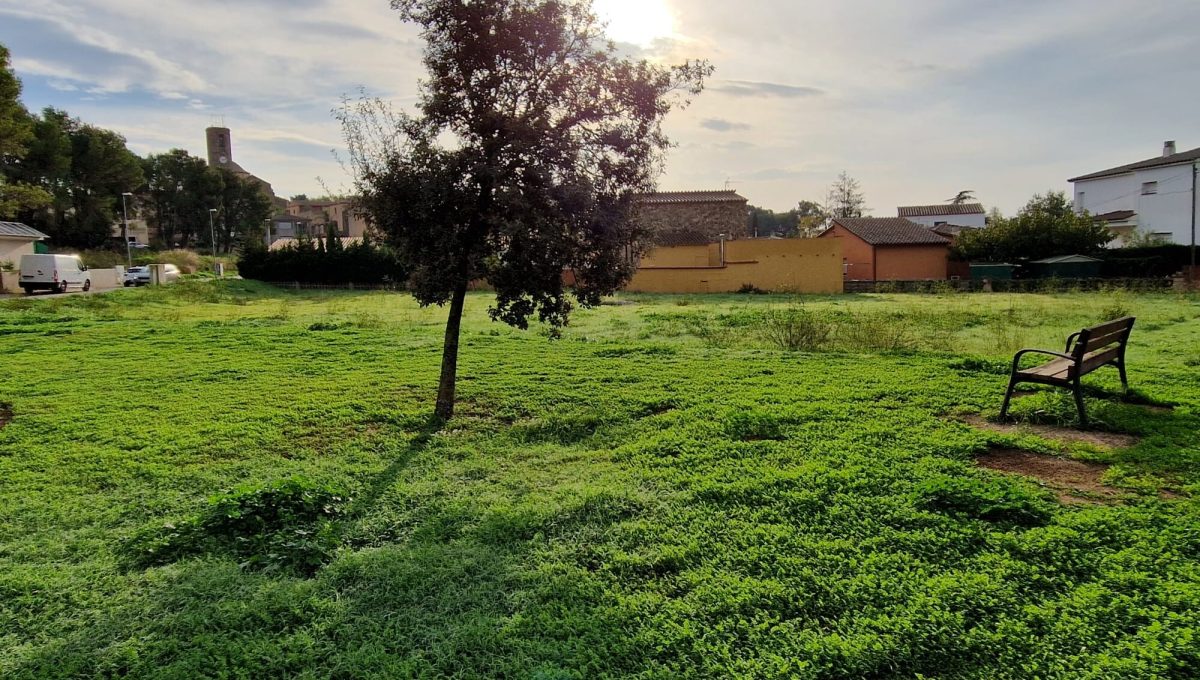 150682770_f19afc3754d29f1b7c81832220d79eb3