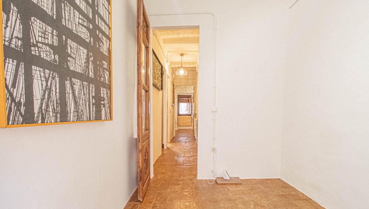 366976485_52017cc3cd915cf7c1747af761390862