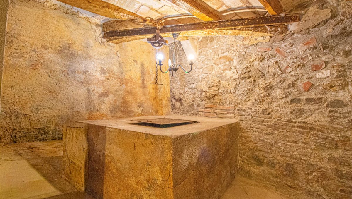 366976485_98b1d91c1af43750a2fc07fd03b57ada