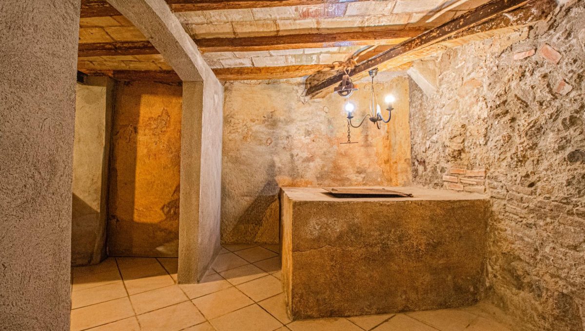 366976485_c713a19f402e0002b038c3612354d163