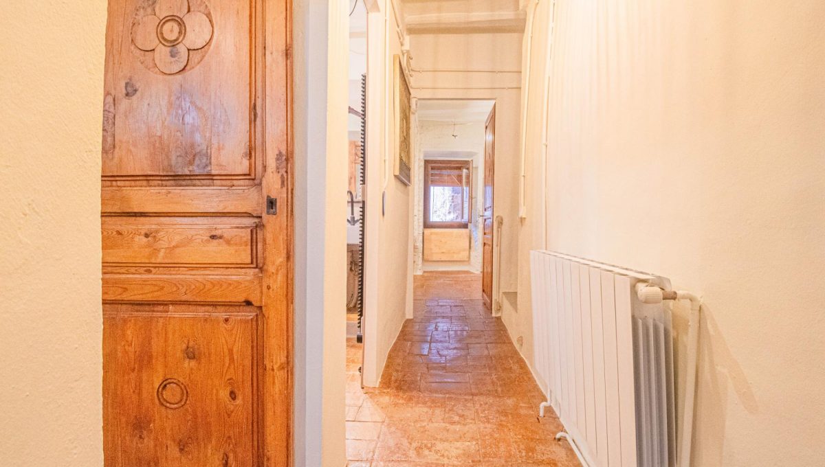 366976485_fbc01941f4dc200ff25a56364e18a3c0