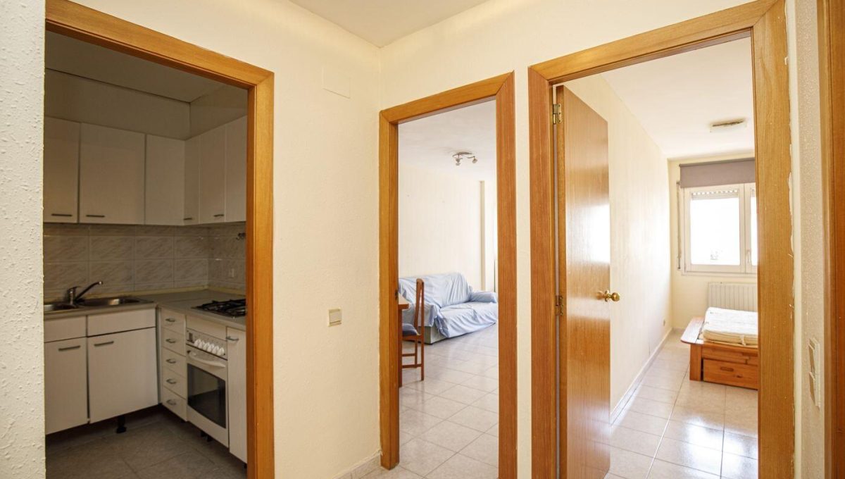 475882257_afd5d00d90e37d44ba2d29d1087eff1a